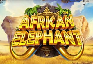 African Elephant